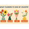 ¿Qué flores regalar según el país? Guía para enviar flores a Latinoamérica online?