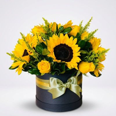 Caja de Girasoles - Deluxe Sol
