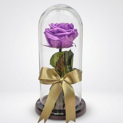 Rosa Preservada Morada en Urna