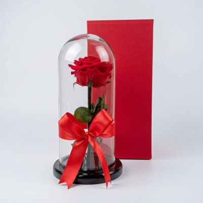 Rosa preservada - Roja Amor