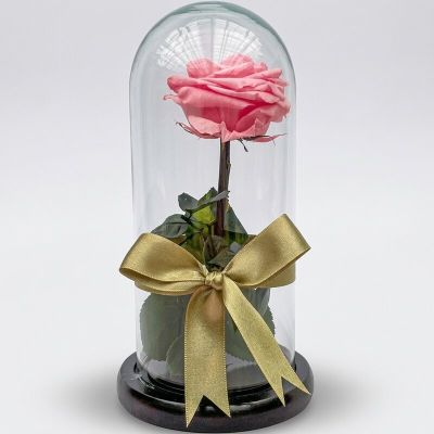 Rosa Preservada Rosada en Urna