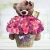 Canasta de Rosas Rosadas con Oso y Chocolates a Domicilio en Colombia