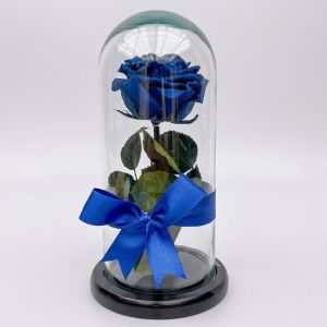 Rosa preservada -AZUL | Flores a Domicilio en Latinoamérica