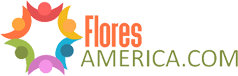 Flores America